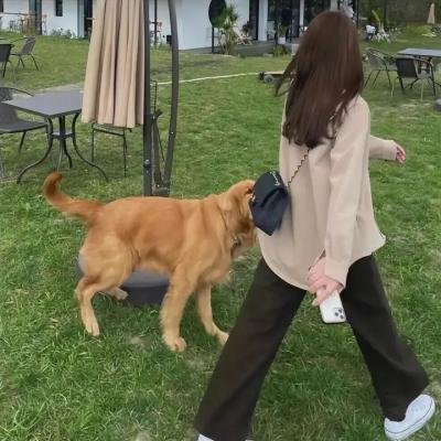 相爱的停损点